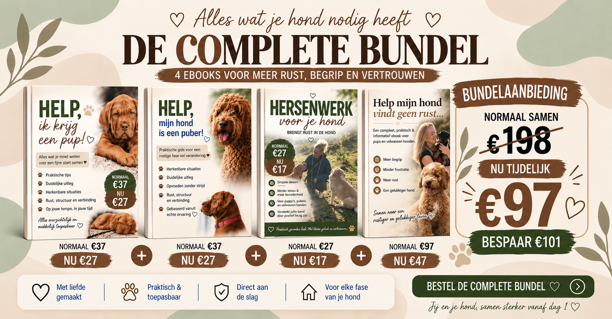 DE COMPLETE HONDENBUNDEL 4 E-BOOKS VOOR ELKE FASE VAN JOUW HOND