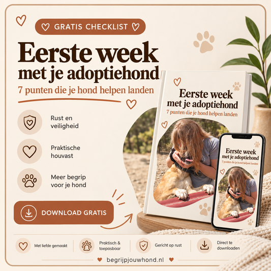 GRATIS DOWNLOAD | CHECKLIST EERSTE WEEK ADOPTIEHOND