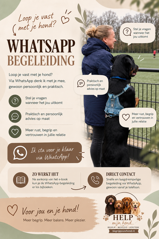 WHATSAPP BEGELEIDING