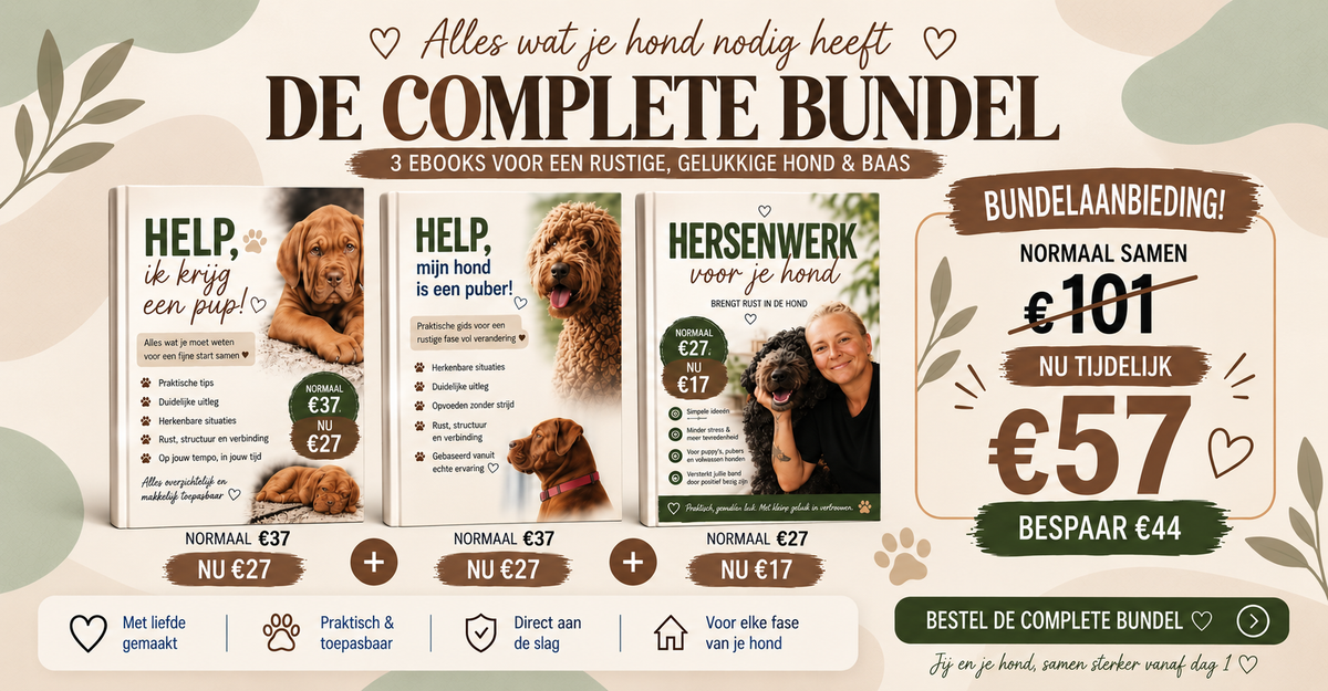COMPLETE BUNDEL