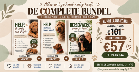 COMPLETE BUNDEL