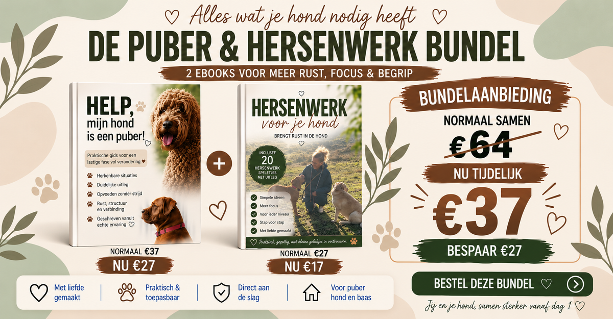 DE PUBER + HERSENWERK BUNDEL