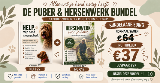 DE PUBER + HERSENWERK BUNDEL