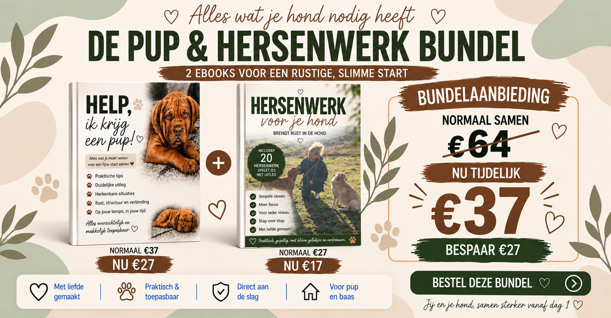 DE PUP + HERSENWERK BUNDEL