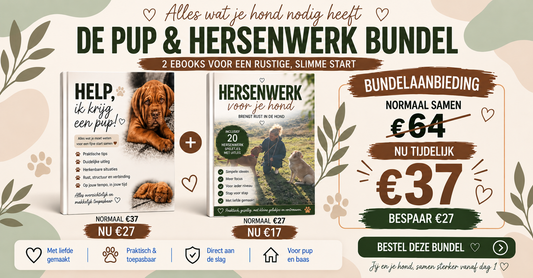 DE PUP + HERSENWERK BUNDEL