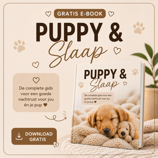 GRATIS DOWNLOAD | PUPPY & SLAAP