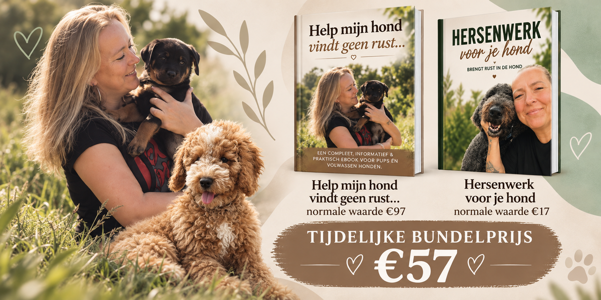 RUST + HERSENWERK BUNDEL