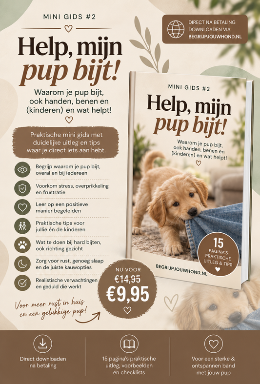 MINI GIDS| HELP MIJN PUP BIJT