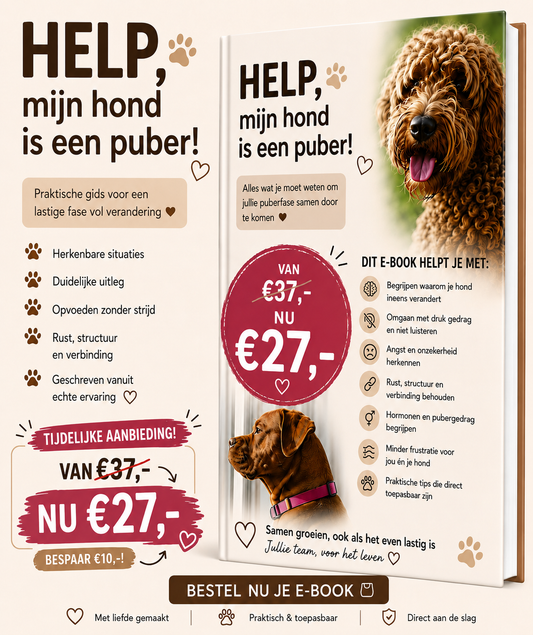 E-BOOK | HELP, MIJN HOND IS EEN PUBER!