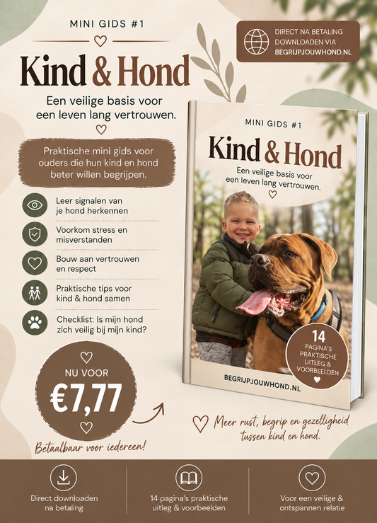 MINI GIDS | KIDS & HOND