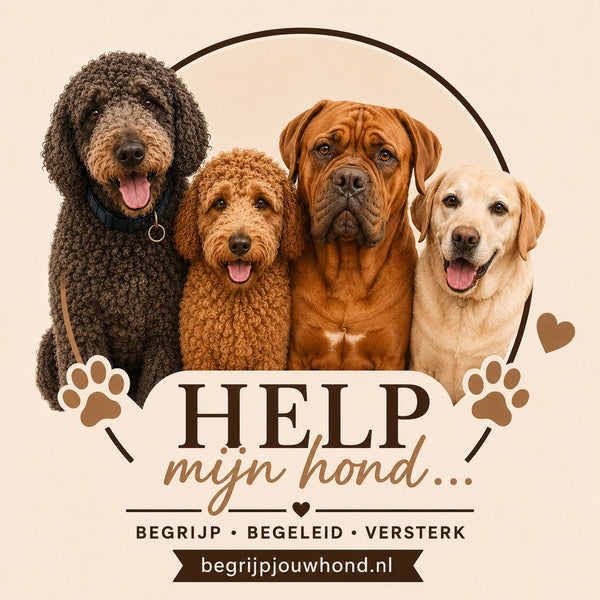 Begrijpjouwhond.nl