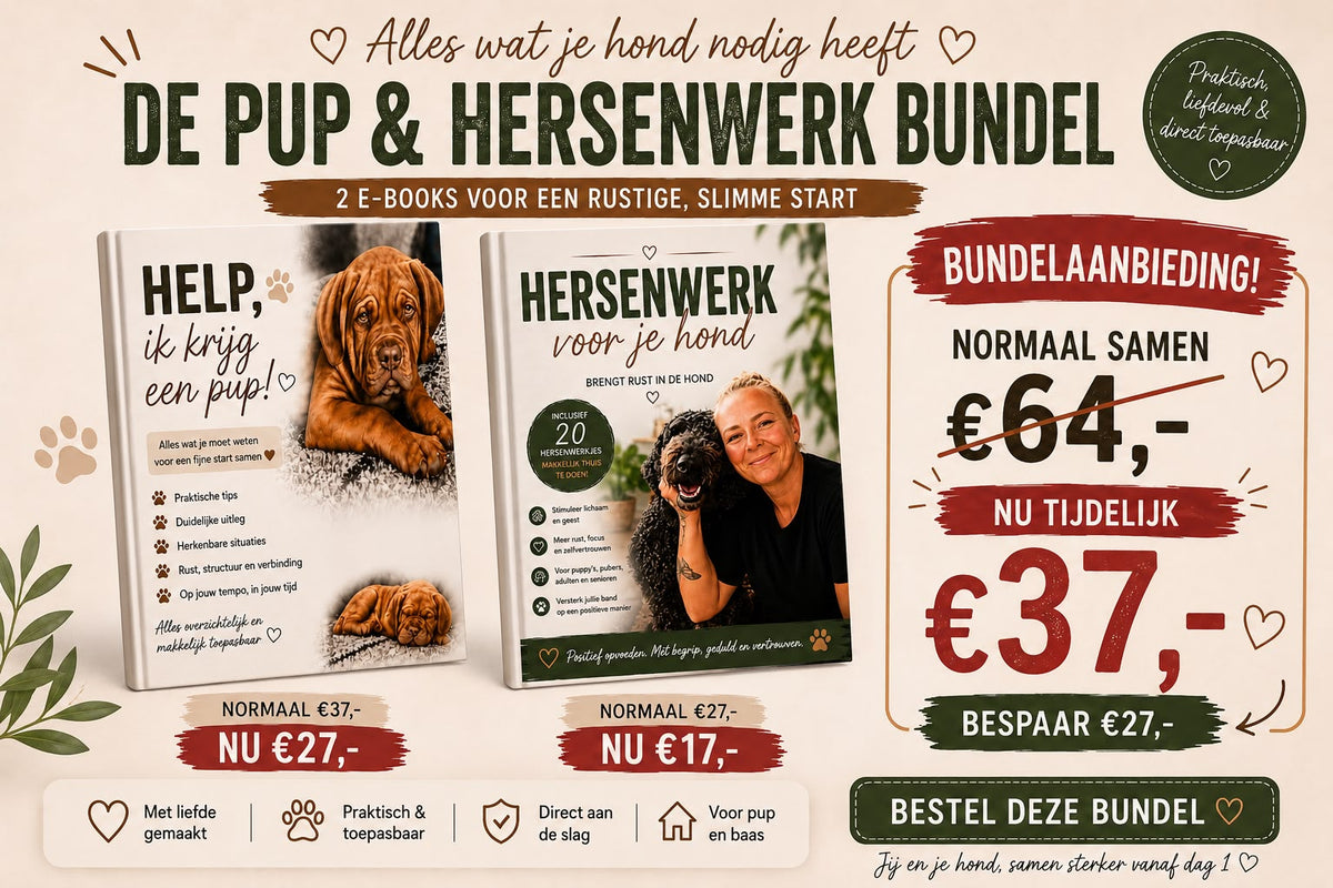 DE PUP + HERSENWERK BUNDEL