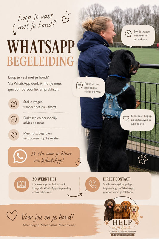 WHATSAPP BEGELEIDING