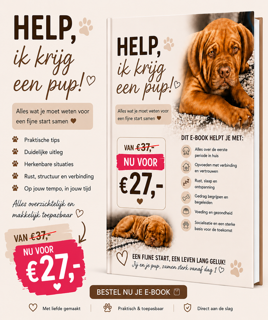 E-BOOK | HELP, IK KRIJG EEN PUPPY!